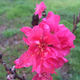 Illustration for article titled 21 Stupendous Photos of Spring